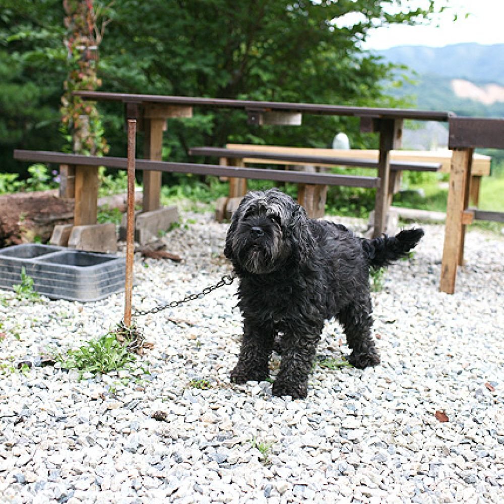 주변전경